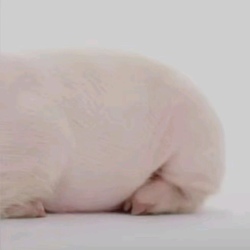 11.11