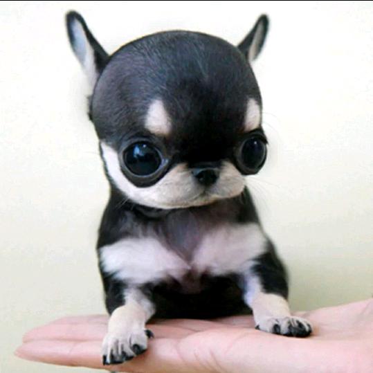 人间🤡烟火🤡