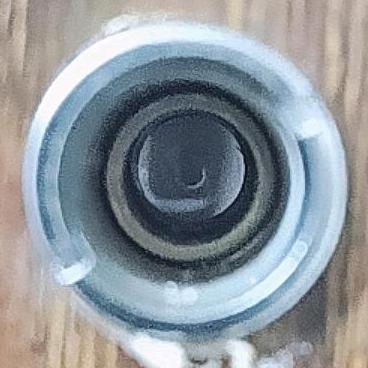 🐝苦笑人꒰ঌ(˚ᆺ˚)໒꒱”