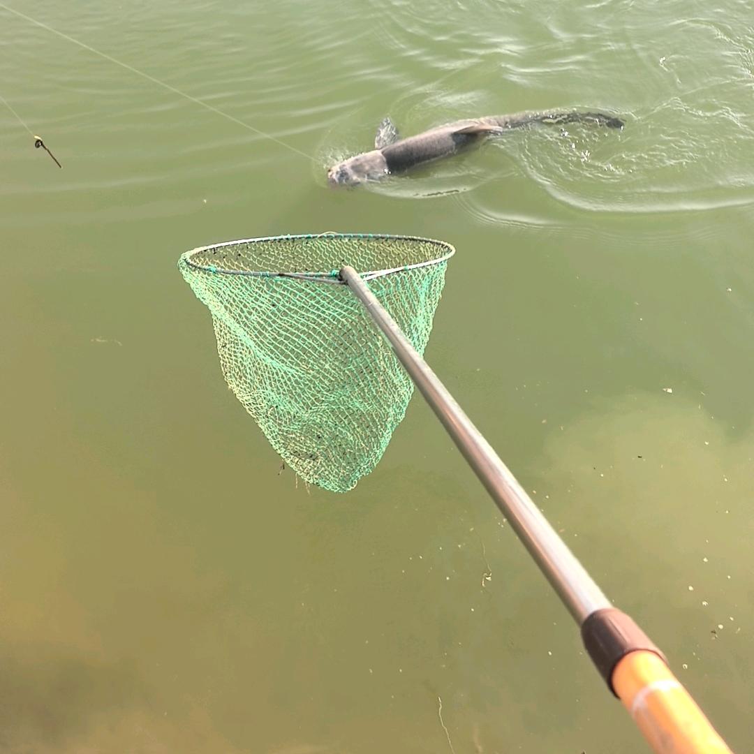 ~滁州渔悦大混养钓场~