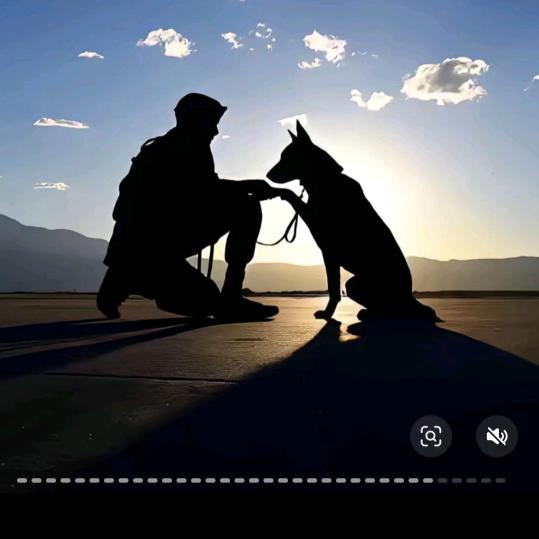 🏝随心🪯所欲🐎