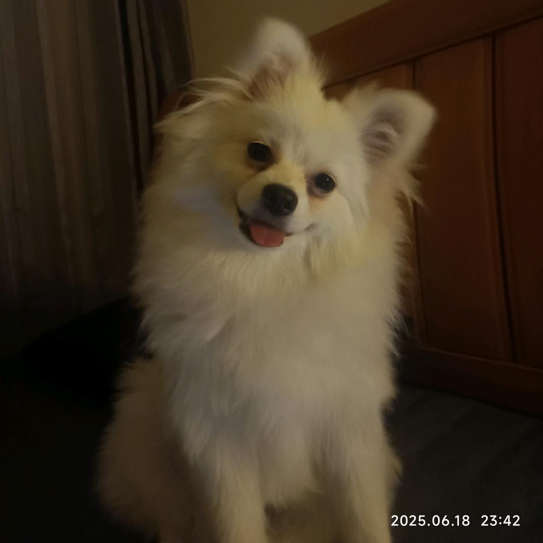 L.