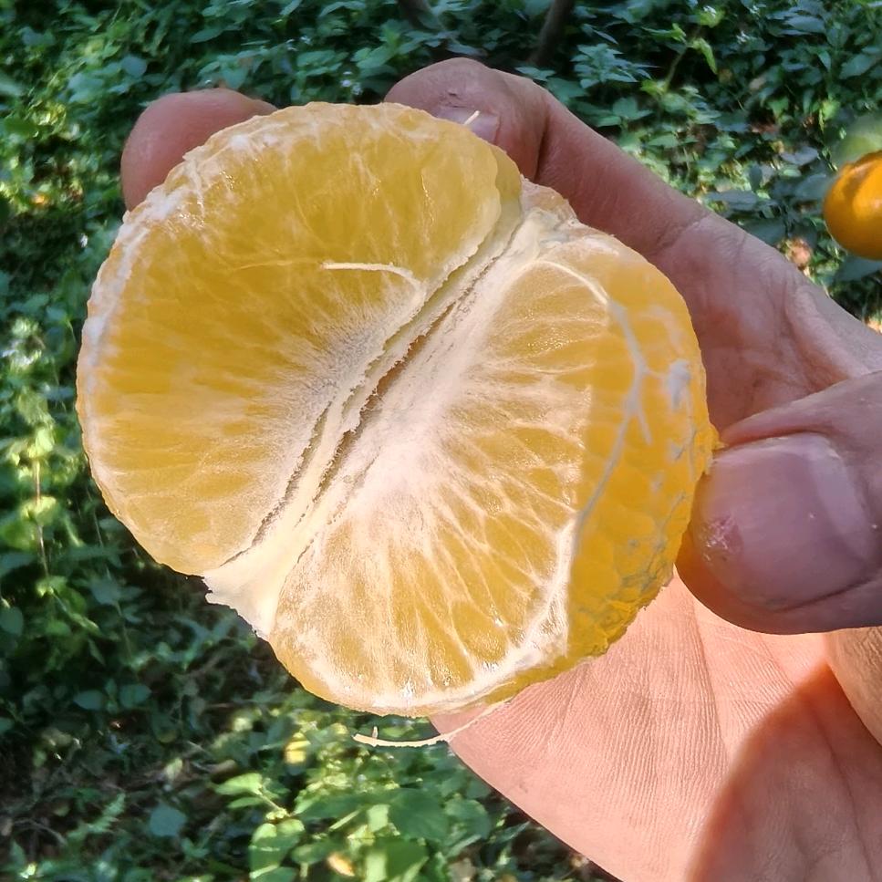 好好说话