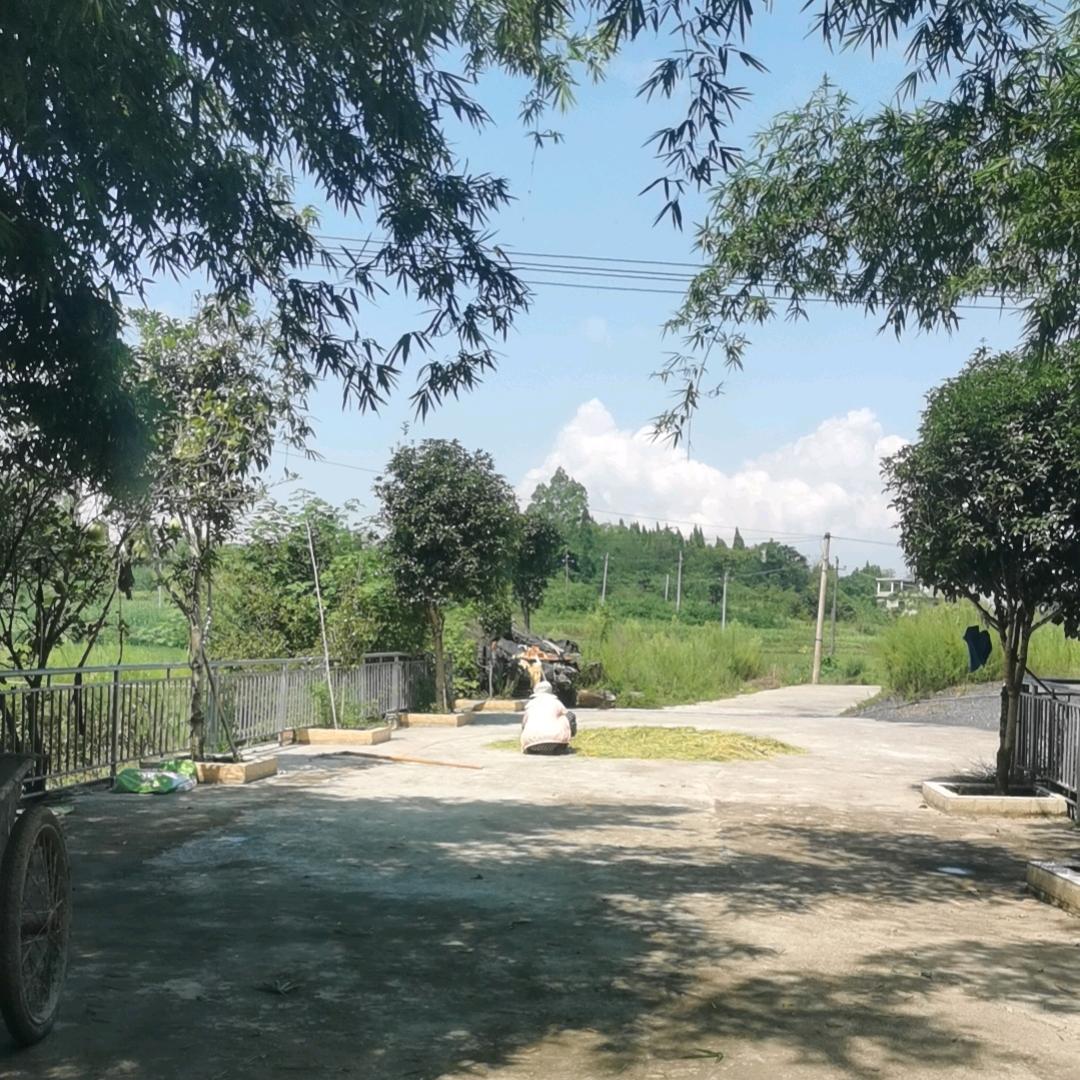 明宇