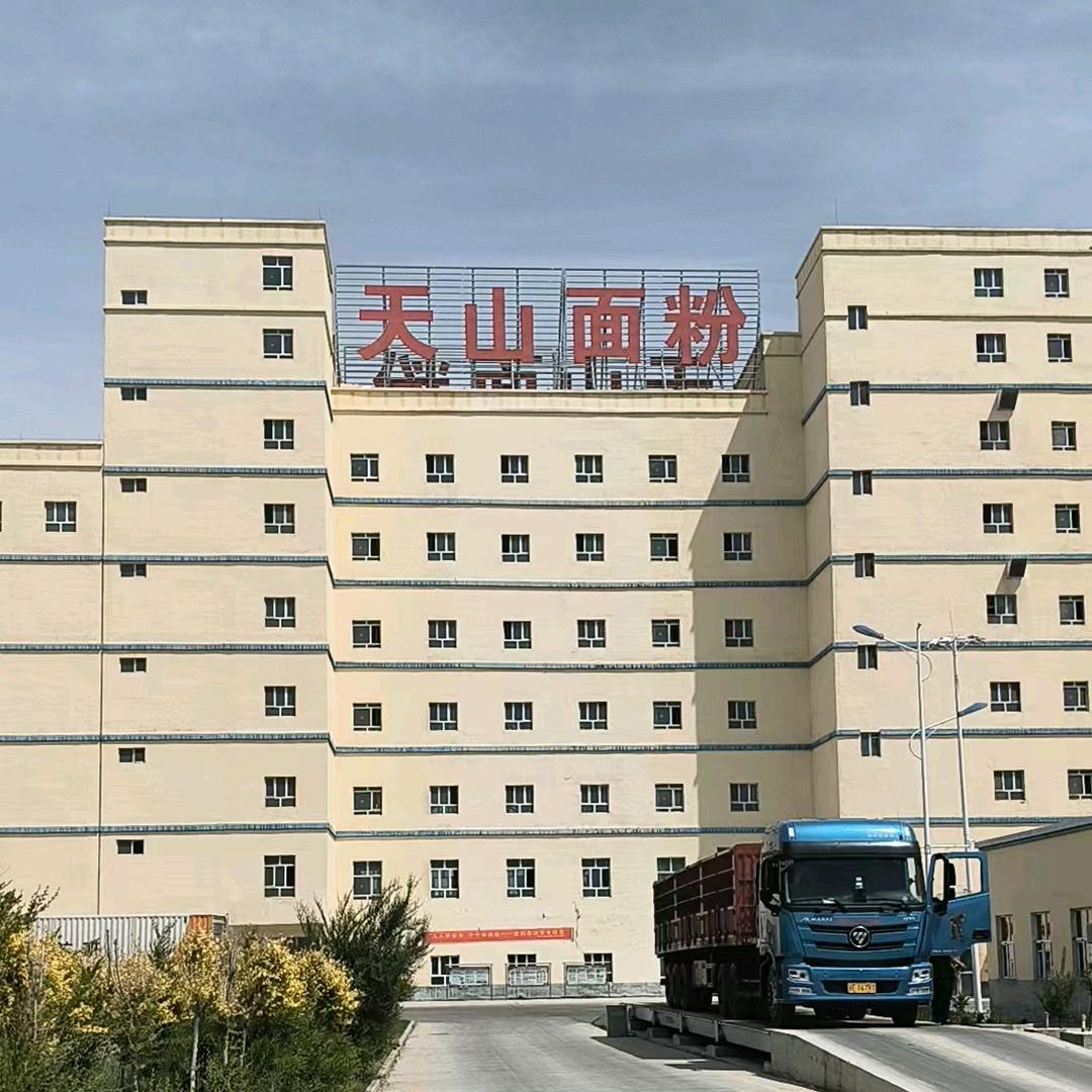 新疆天山面粉(汉中）总代理