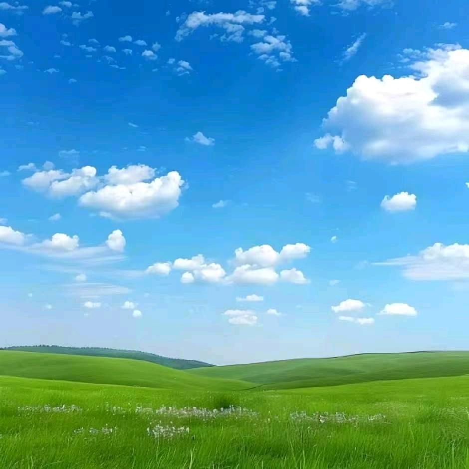 ᭄余生ᝰᩚ随心ꦿ໌ᮨ