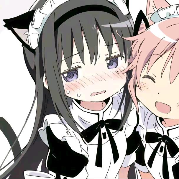 聪明小猫