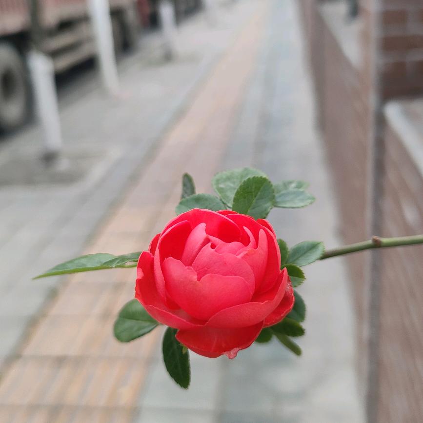 天随人意
