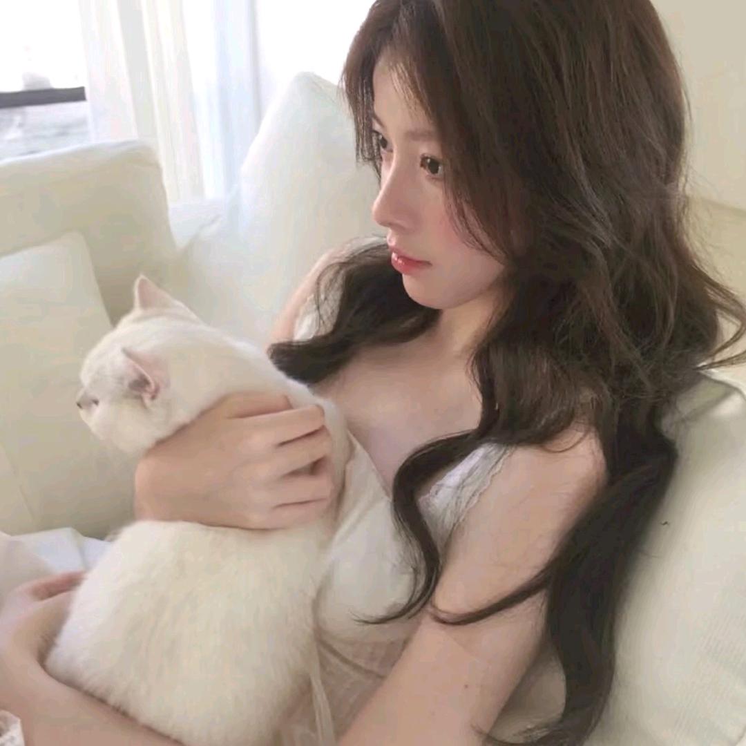 王 喵 喵