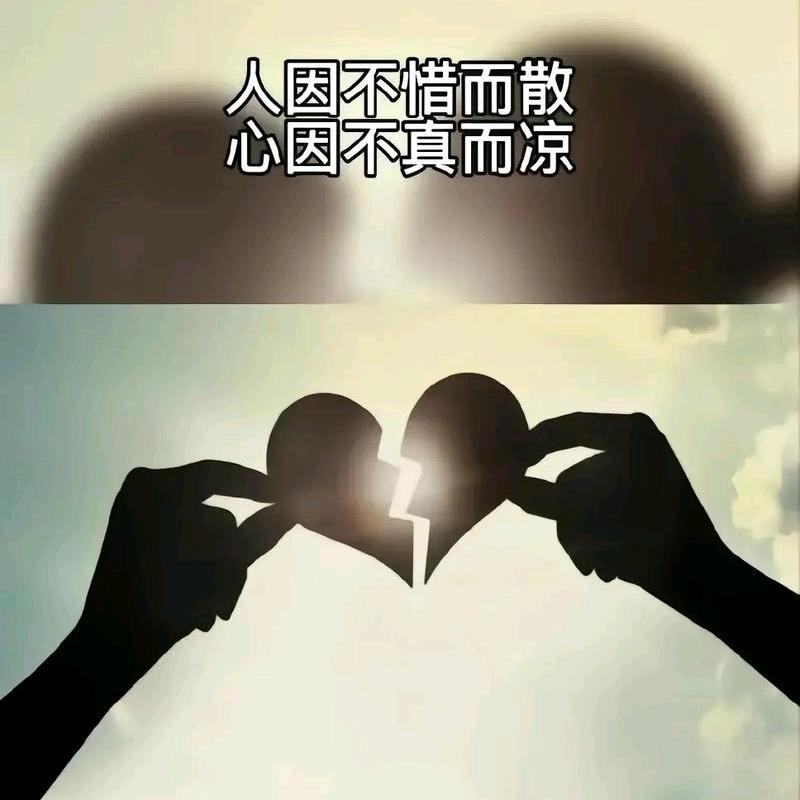 💔 已读不回
