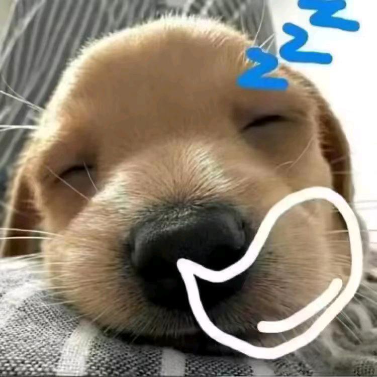 眠眠