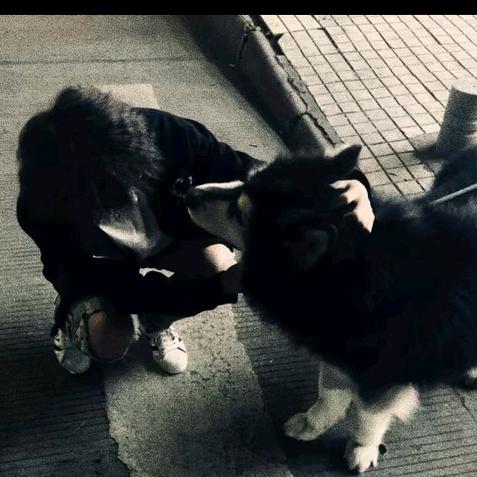 我爱吃鸡蛋灌饼