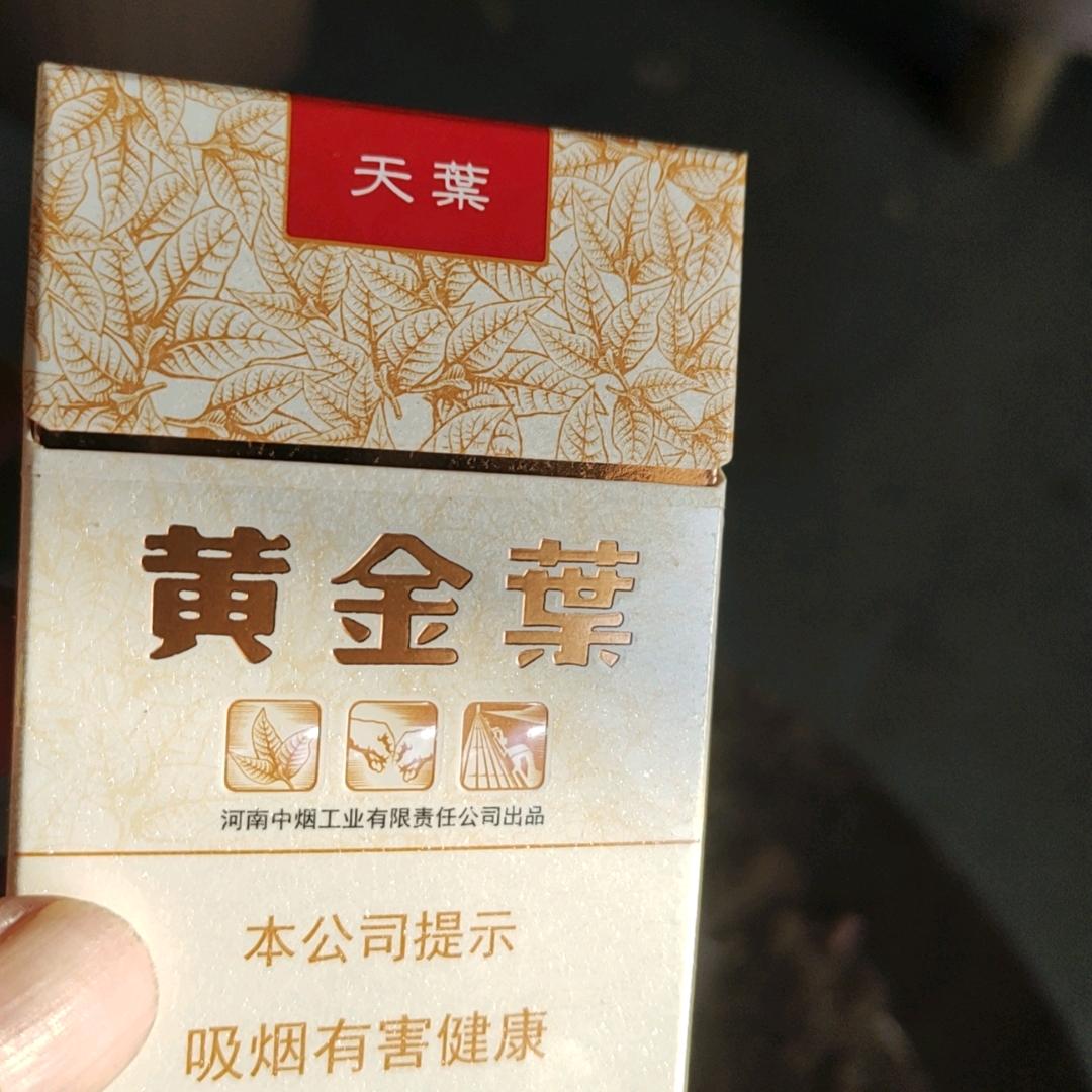 包容人生