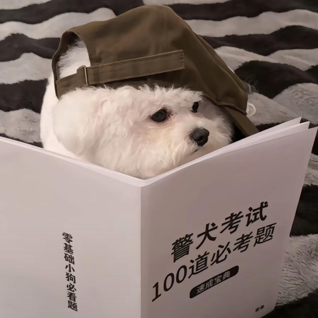 九淮安