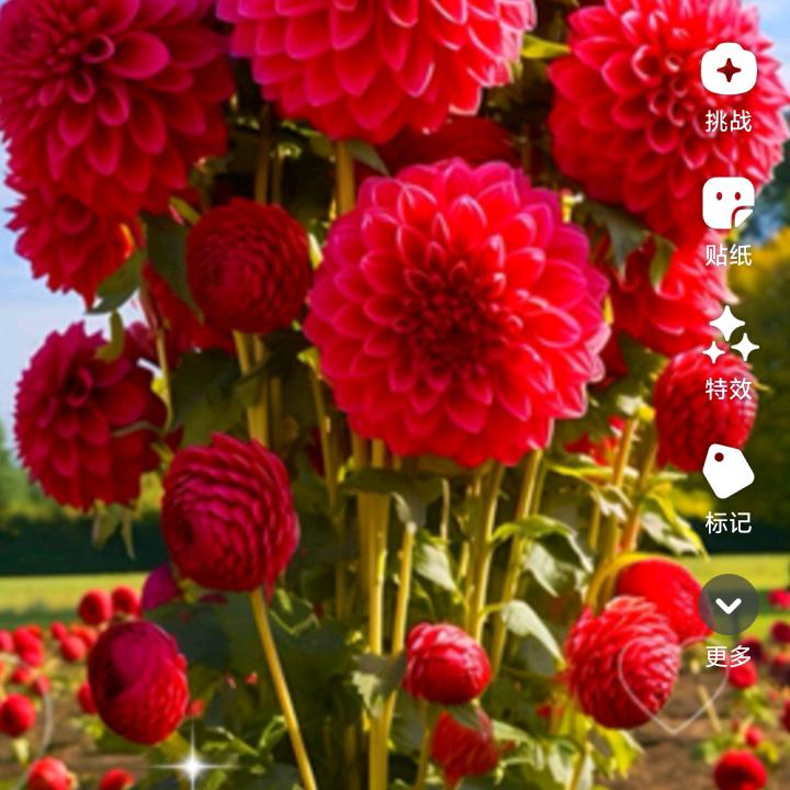@因为