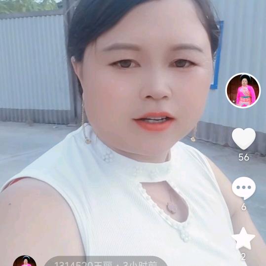 1314520王丽