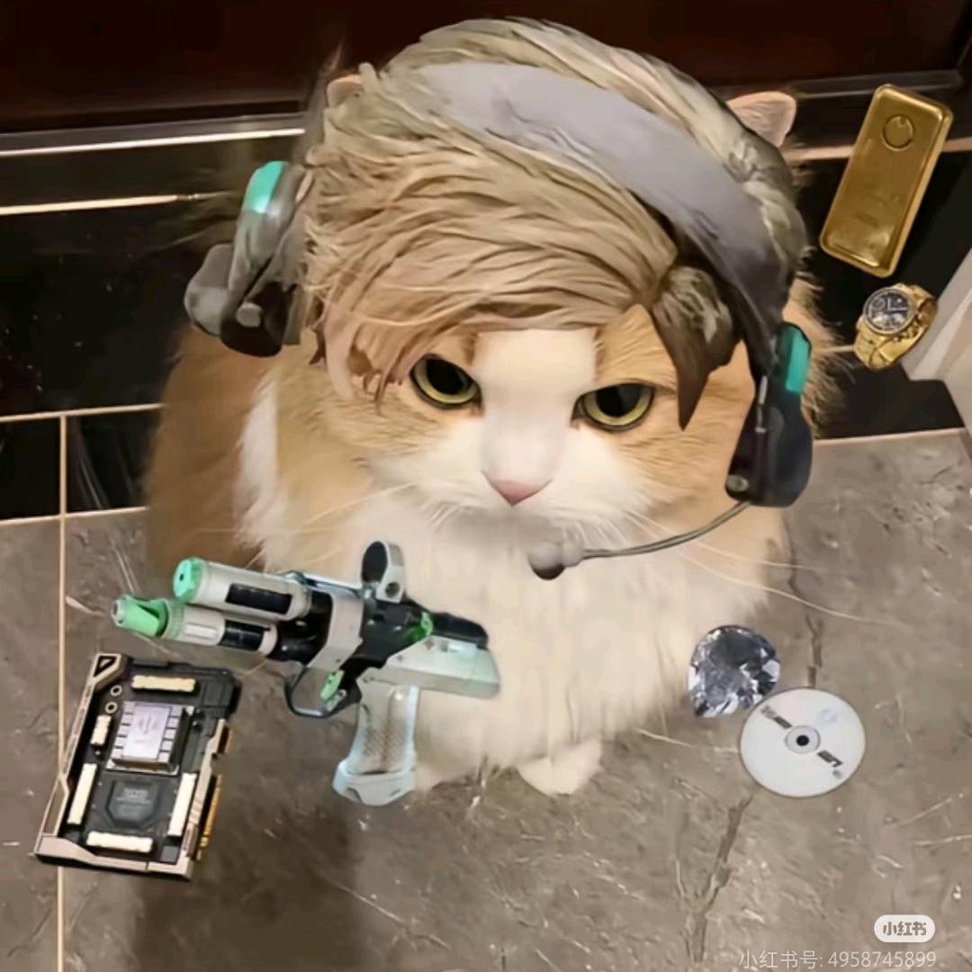 小虫（三角洲跑刀）