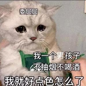 🌈没头脑的不高兴🌈