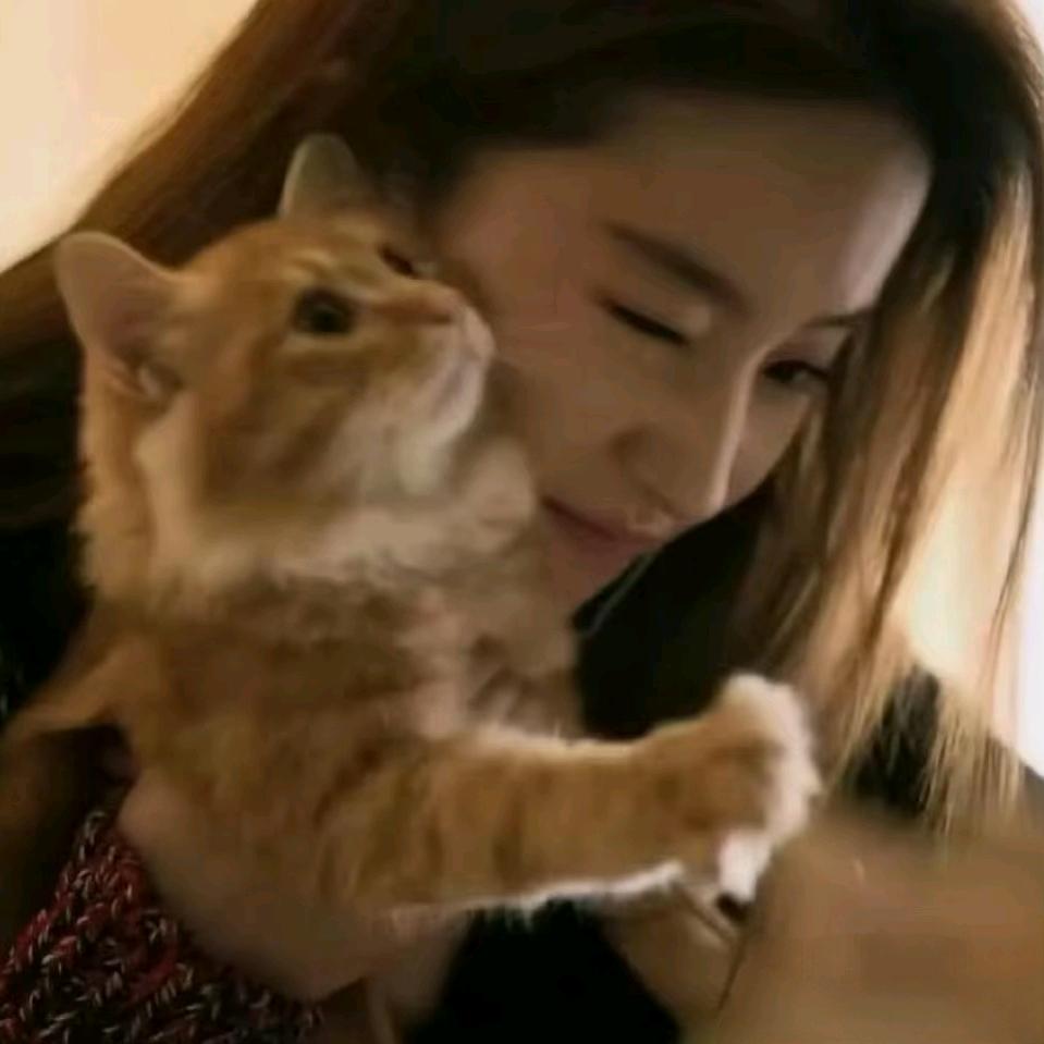 南浔