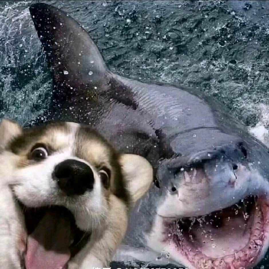 湫.