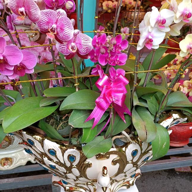 知人知面不知❤️