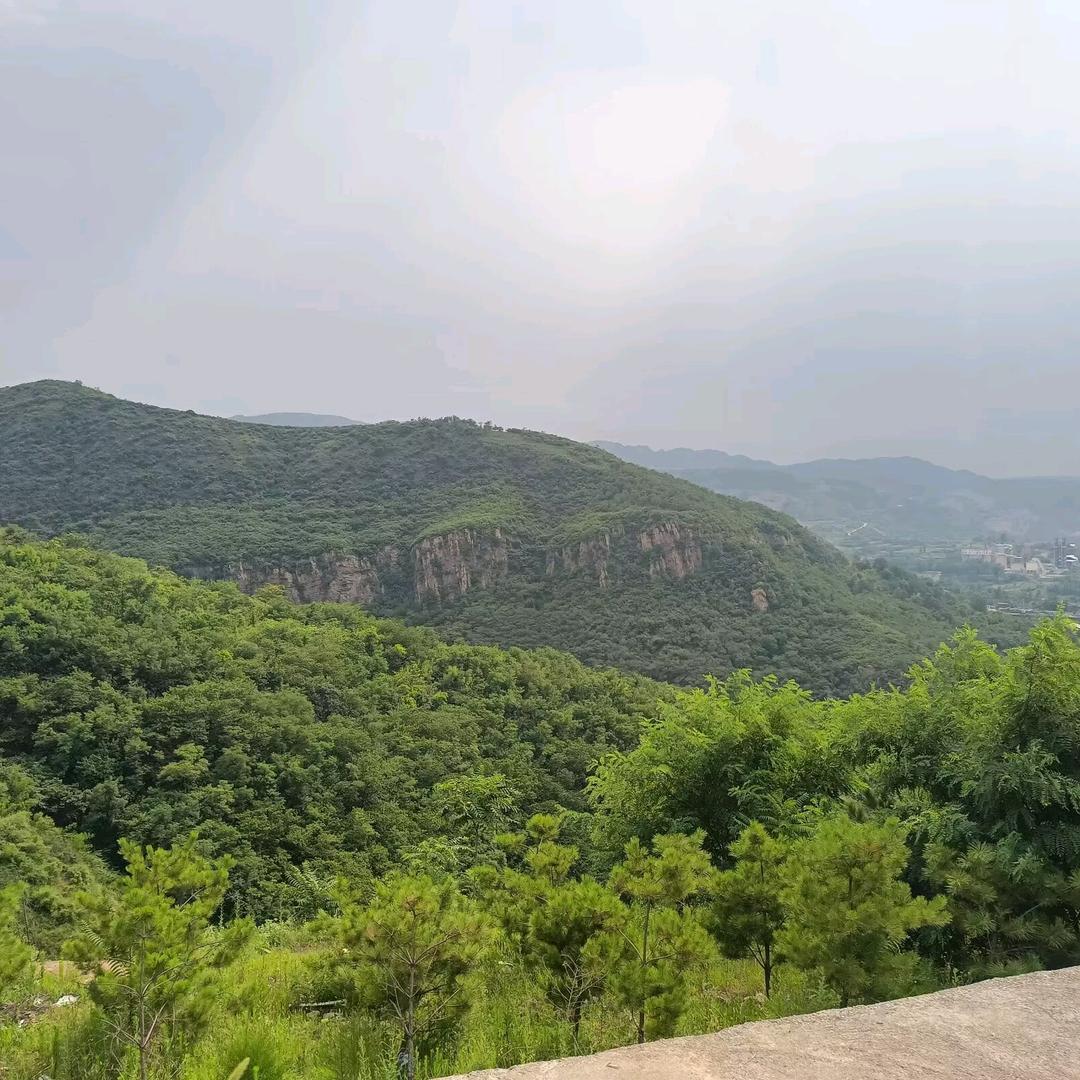 情话💋