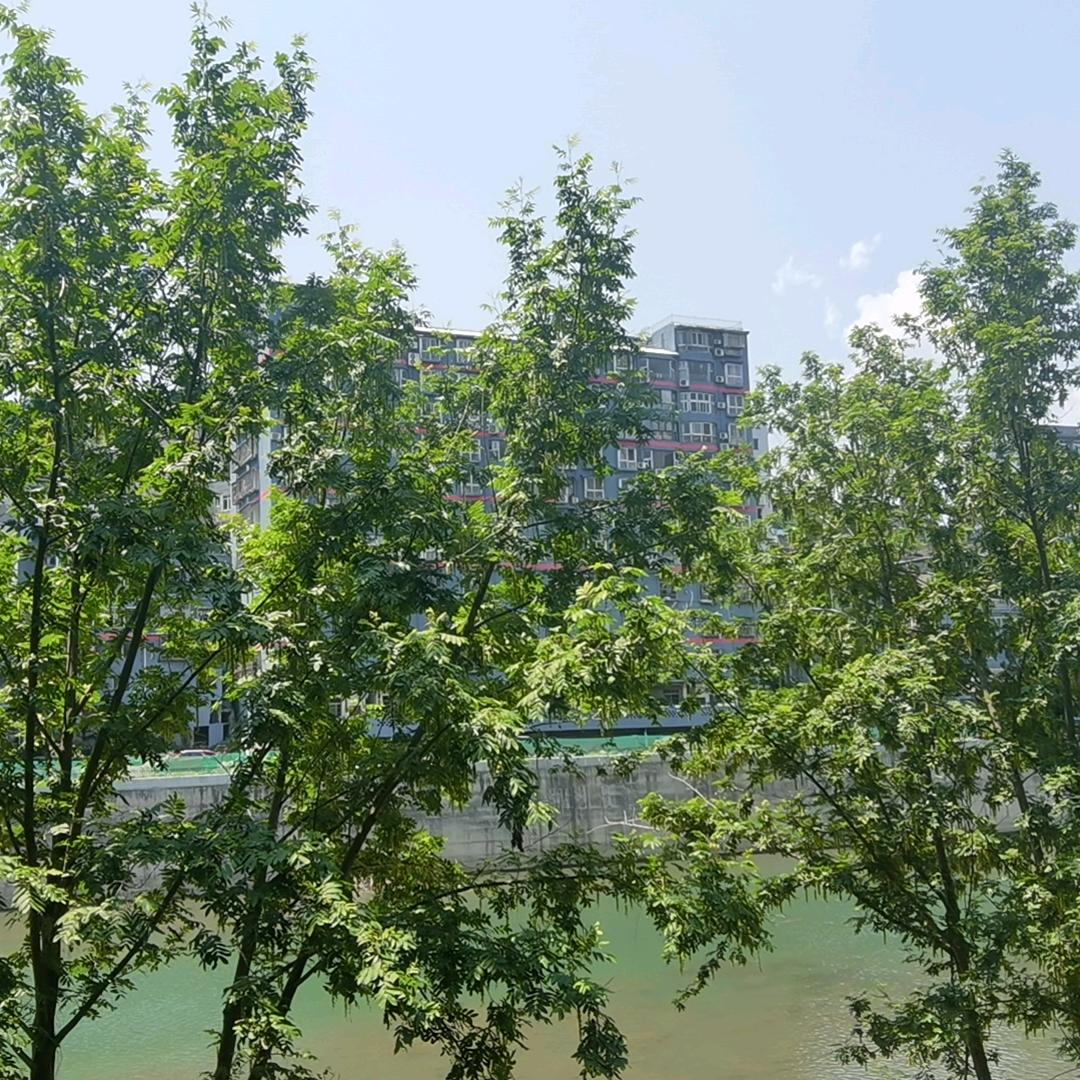 梦更真实