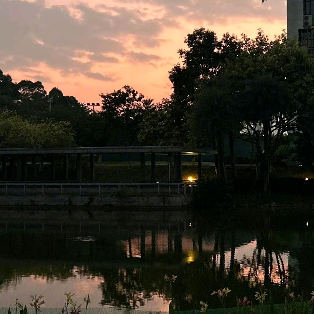 雾起时