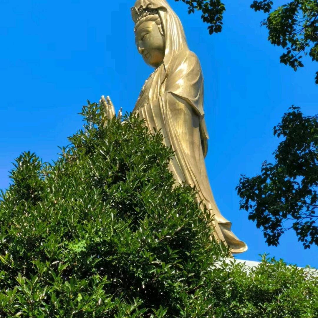 以善养善