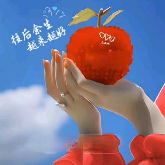 陕西陽姐
