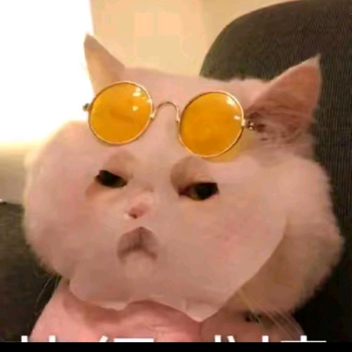 徐徐放下