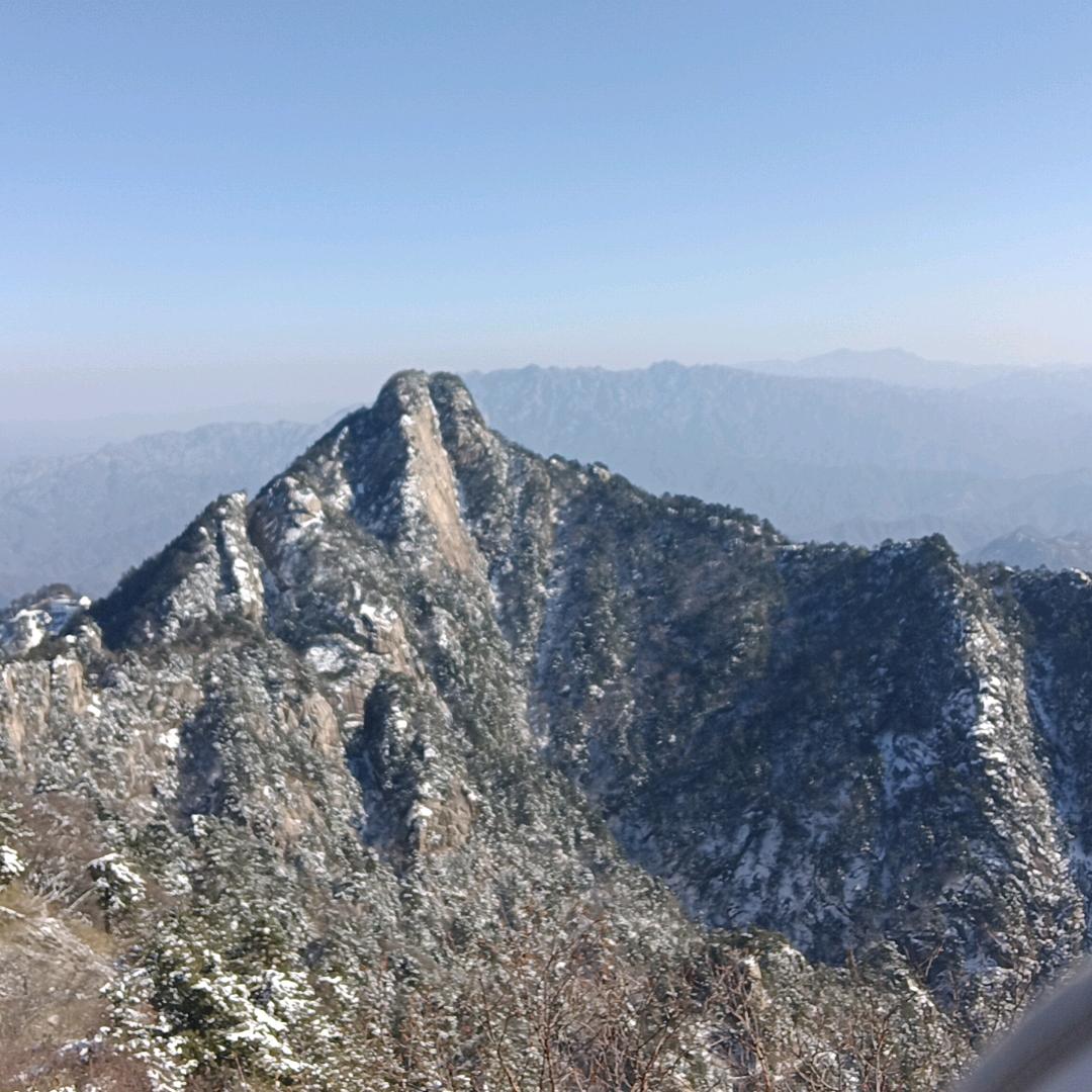 梦动梦幻直播333号