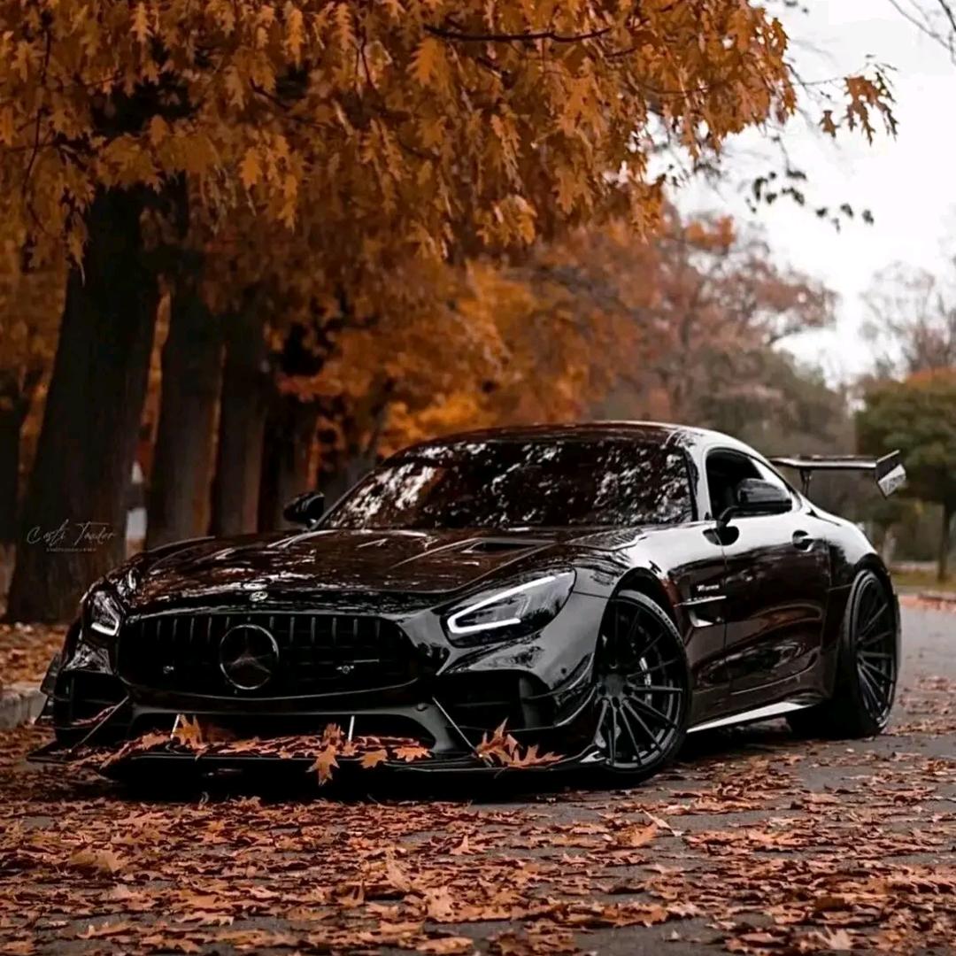 虹鸿二手车（青青）