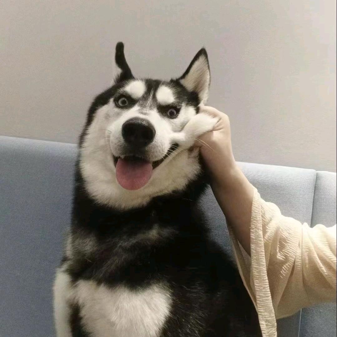 碎觉大吉
