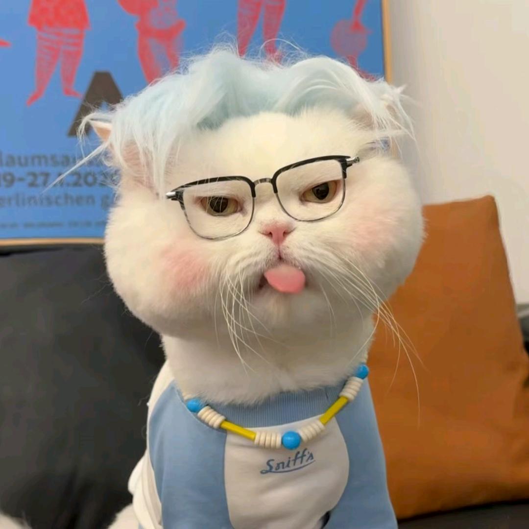 小爪归处