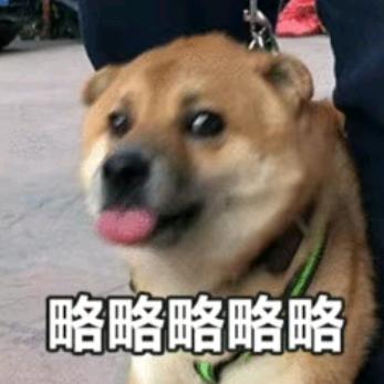 李小辉