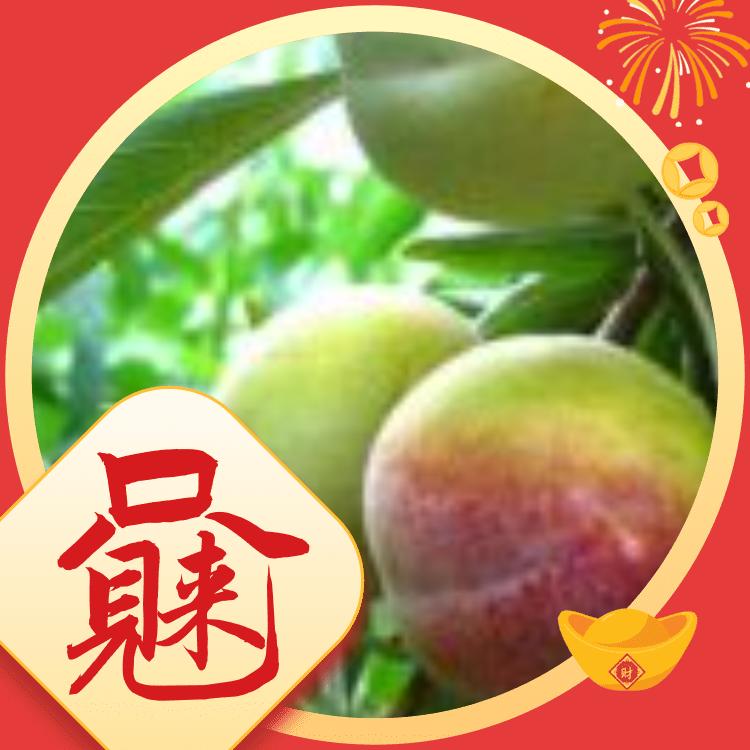 三月李