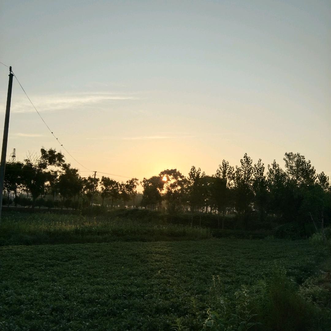 你有夢想就有希望乁༼☯‿☯✿༽ㄏ