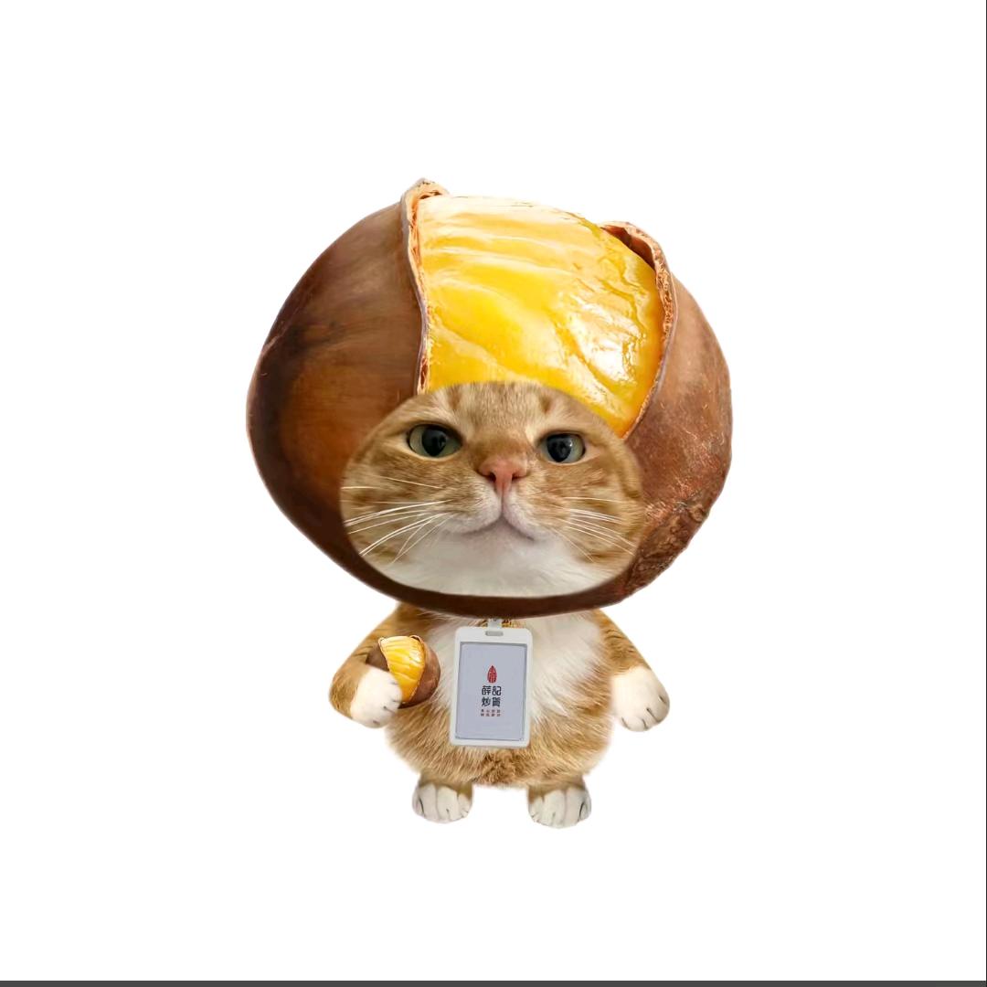mer儿