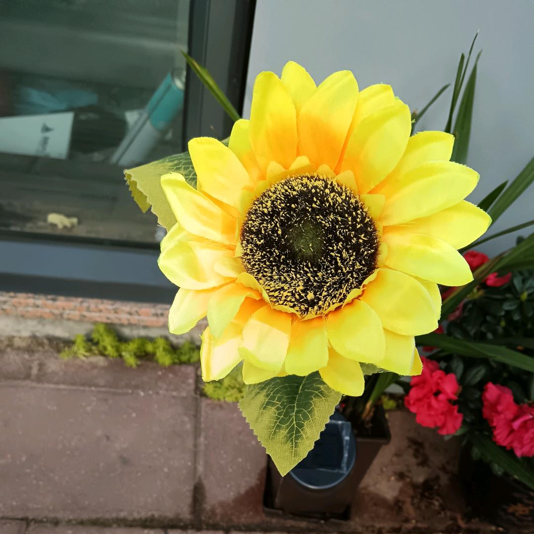 小小花
