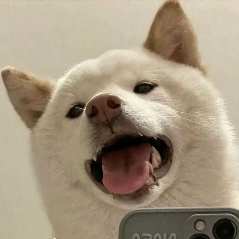 别熬耶