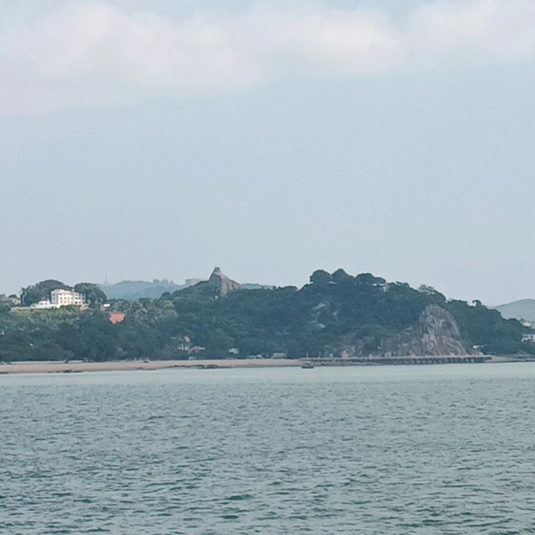 蔬适哥