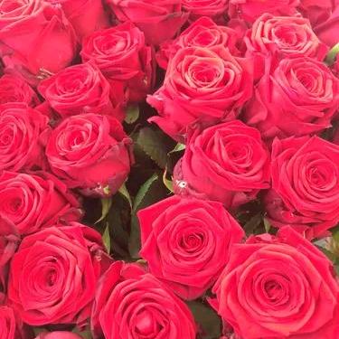 高傲的公主🎵（终于把你遇见）