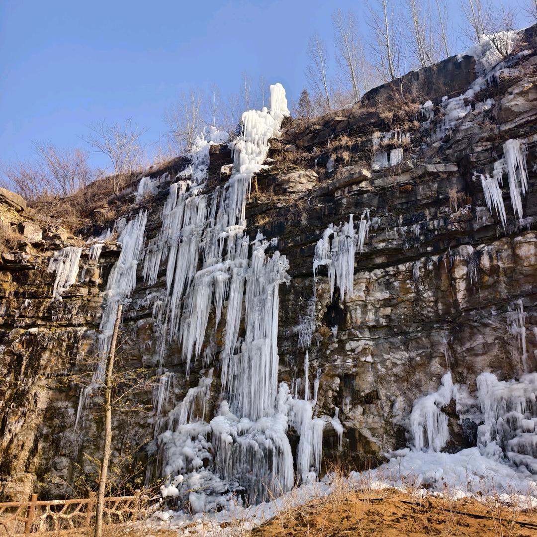 强子陪你吃喝玩乐