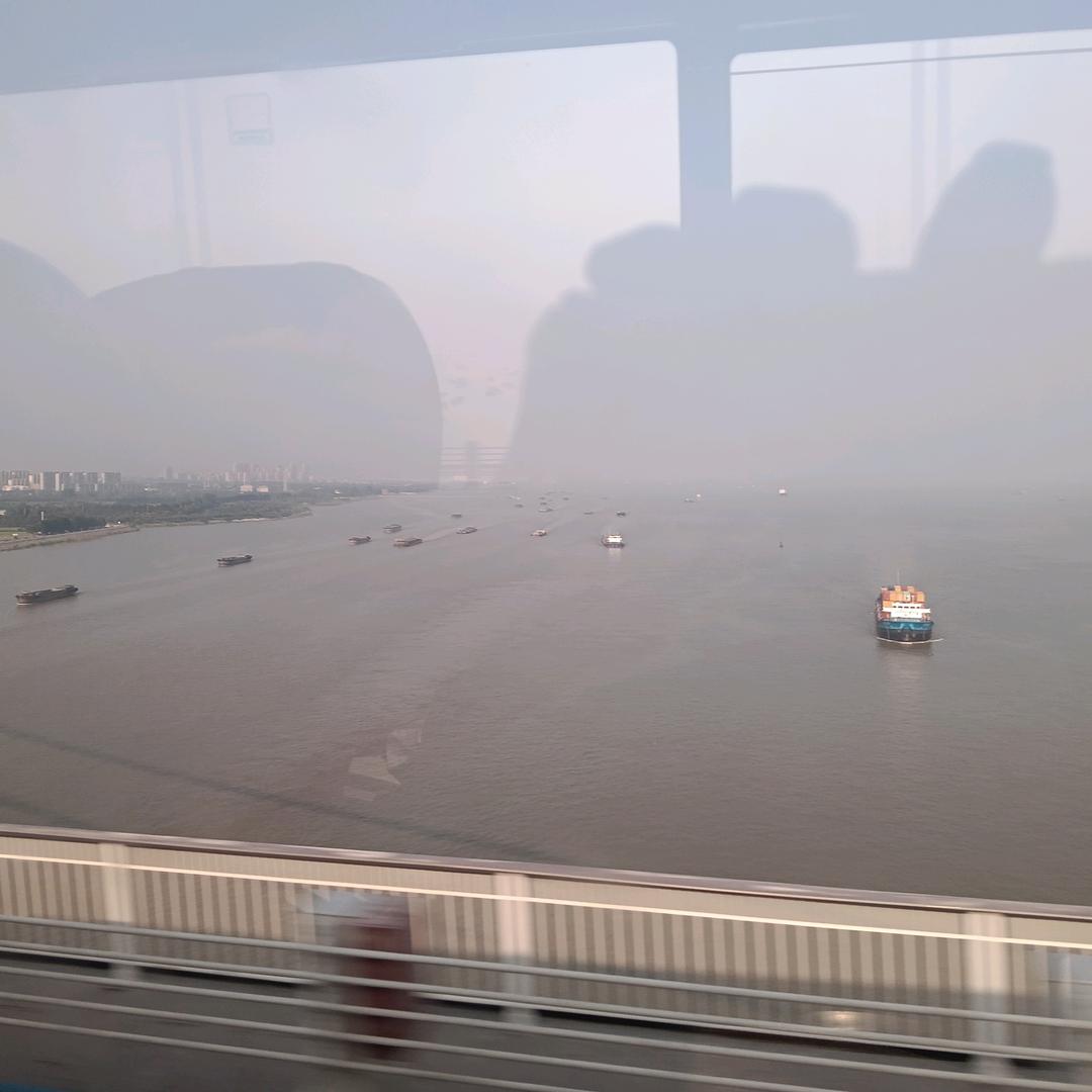 滑州市花衬衬二哥