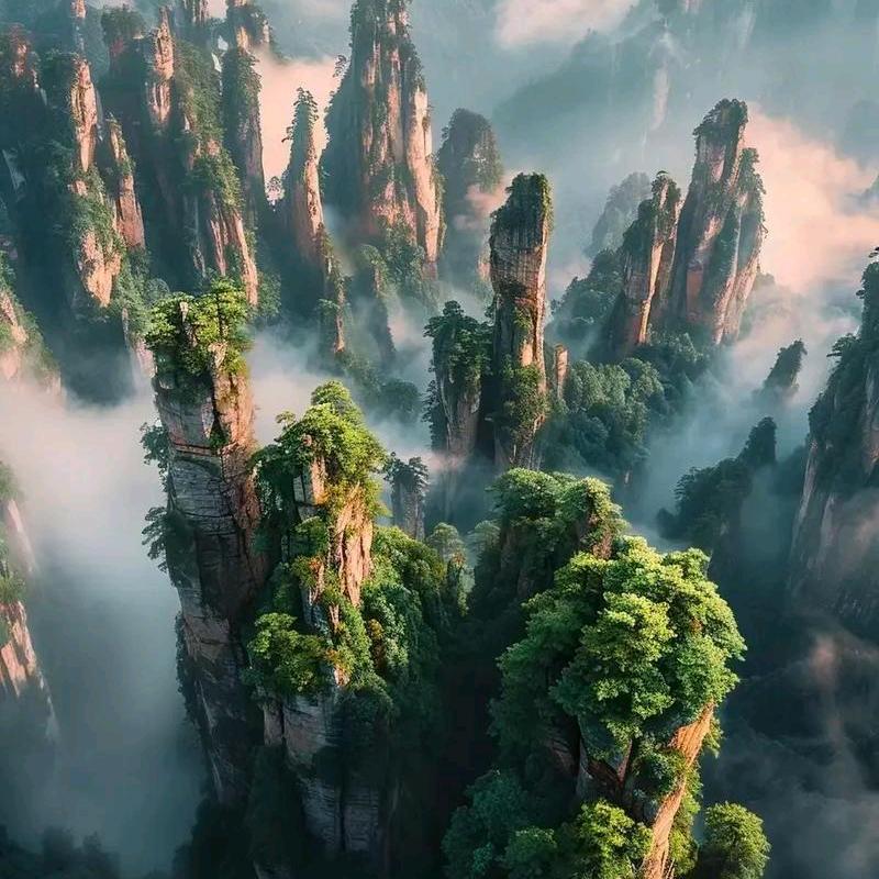 芯慧