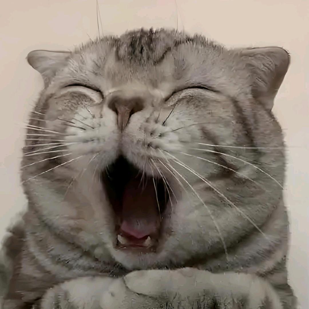 cfmt5si