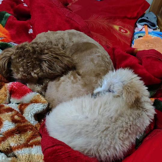 铭记yi份等待