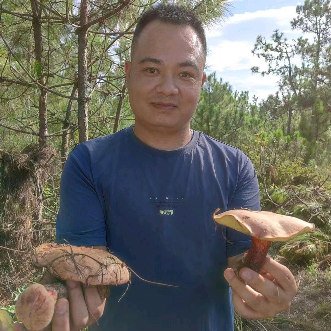 云南野生菌汤🍄菌粉🍄酸汤🍄