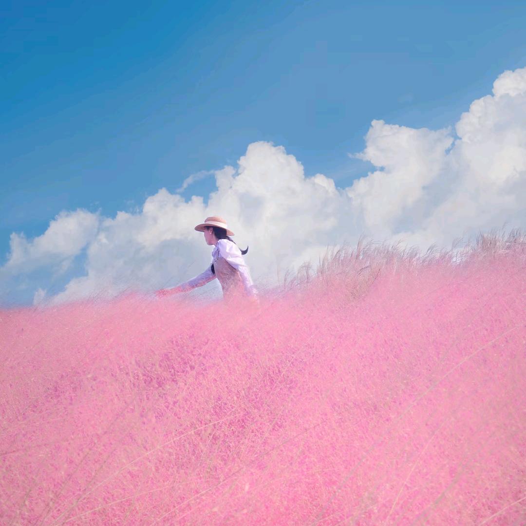 人间富贵花🌸